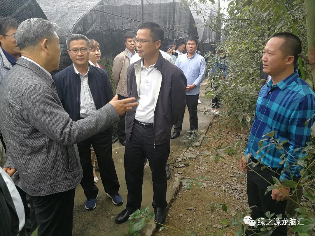 国家林业局原副局长李育材一行到寻乌县绿之源生物科技进行产业扶贫调研